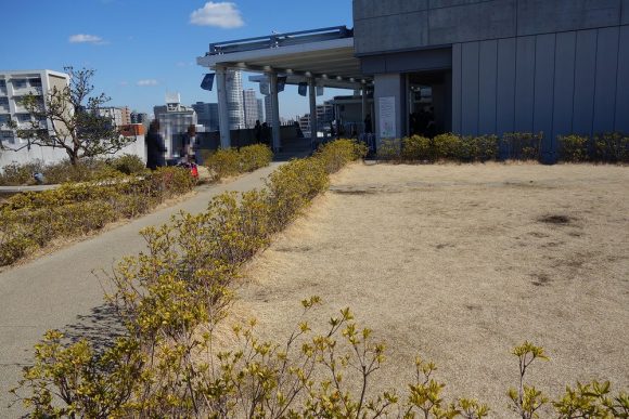 赤ちゃん・子供連れすみだ水族館でパパとママが知っておきたいこと