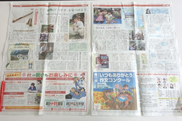 朝日小学生新聞の内容
