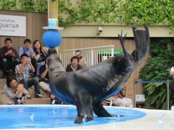 池袋_サンシャイン水族館 (3)