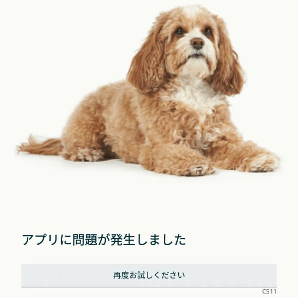 アマゾンプライムデー開始時間にアプリも繋がらない