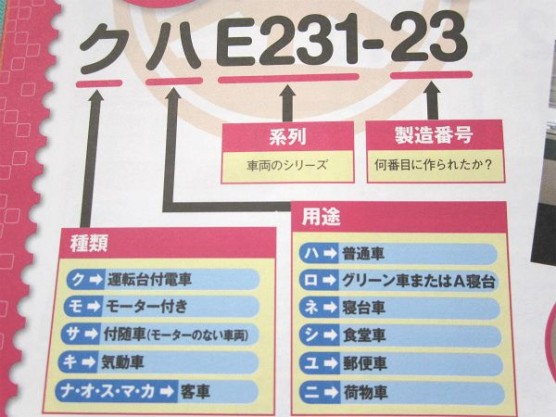 電車の博物館・公園に行こう (1)