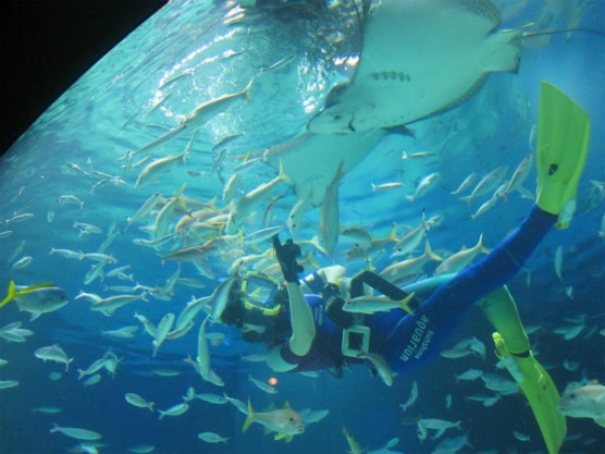 池袋_サンシャイン水族館 (8)