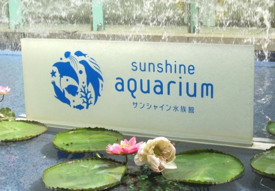 サンシャイン水族館