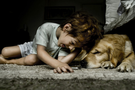 子供と犬の写真