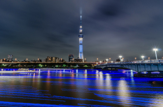 スカイツリーの夜景