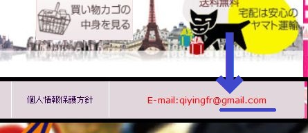 詐欺サイト (4)