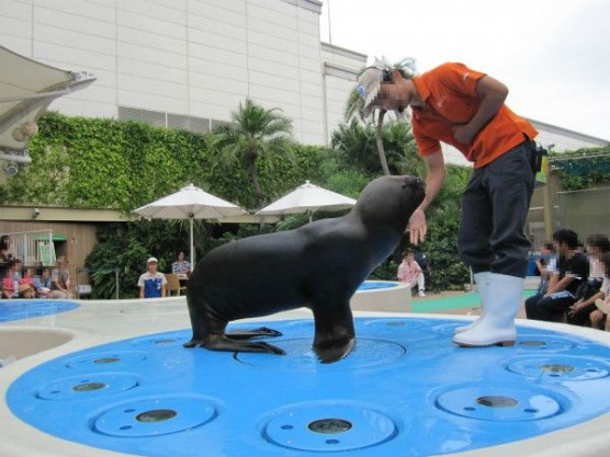 池袋_サンシャイン水族館 (2)