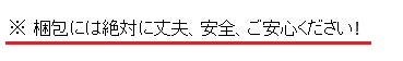 詐欺サイト (2)