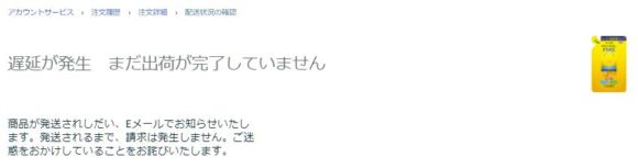 プライムデーの配送の遅延 (2)