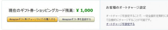 ブイプリカの使い道_アマゾンギフト券への交換手順 (9)