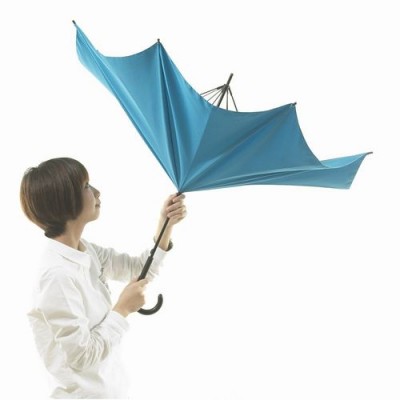 +d UnBRELLA アンブレラ (1)