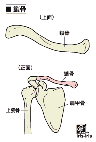 sakotu